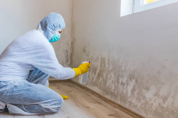 Best Crawl Space Mold Removal  in Groesbeck, TX