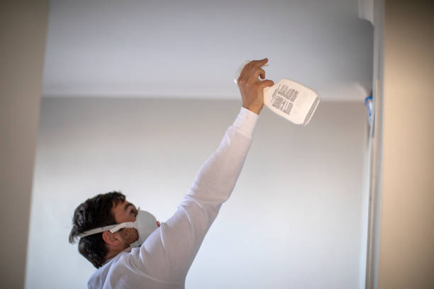 Professional Mold Removal in Groesbeck, TX