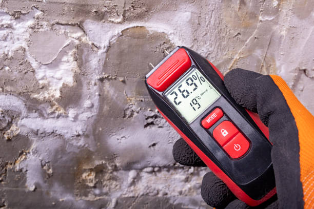 Best Toxic Mold Removal  in Groesbeck, TX
