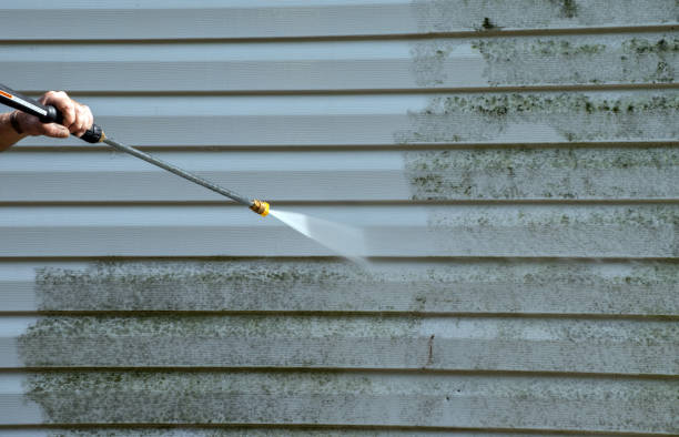 Best Toxic Mold Removal  in Groesbeck, TX