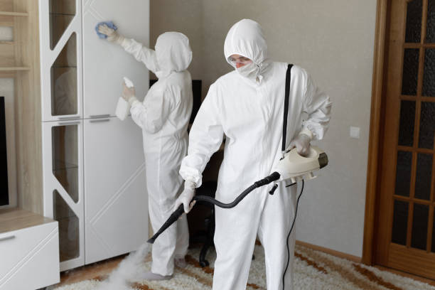 Best Mold Cleaning Services  in Groesbeck, TX