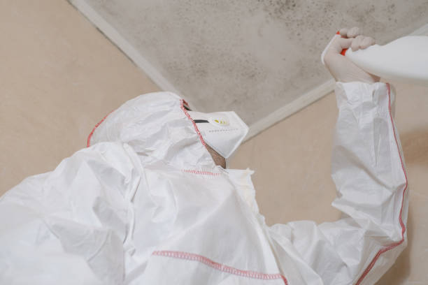 Best Mold Testing  in Groesbeck, TX