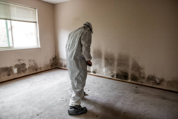 Best Crawl Space Mold Removal  in Groesbeck, TX
